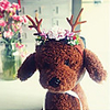 Pet Headdress Christmas Antler Pet Decorative Hat