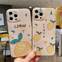 Phone Case For Apple Back Cover iPhone 12 Pro Max 11 SE 2020 X XR XS Max 8 7 Shockproof Dustproof Pattern Tile TPU miniinthebox