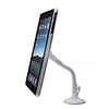 Plactic Desktop/Car Mount Holder/Stand for Ipad,  White Color