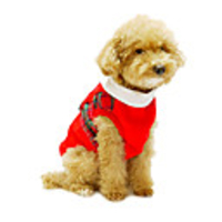 Plaid Style Dress for Dogs (XS-L,  Red)