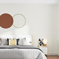 Plain Retro Cement Grey Wallpaper Diatom Mud Clothing Store Hotel Living Room Pvc Thickened Waterproof White Wallpaper miniinthebox