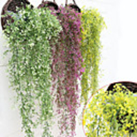 Plastic Pastoral Style Basket Flower 1