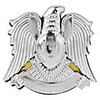 Plated Eagle Car Stickers (Medium)