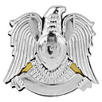 Plated Eagle Car Stickers (Medium)
