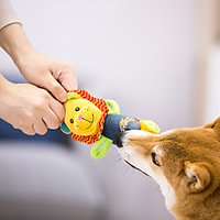 Plush Toy Interactive Toy Dog Toy Dog Play Toy Sqeauking Toy Dog Pet Friendly Pet Exercise Releasing Pressure Plush Fabric Gift Pet Toy Pet Play miniinthebox