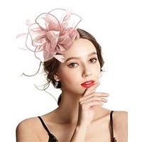 Polyester / Polyamide Fascinators with Feather / Flower / Pure Color 1pc Tea Party / Horse Race / Ladies Day Headpiece miniinthebox