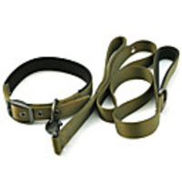 Polypropylene Dog Collar with 125 x 2.5CM Leash (M-L,  Green)