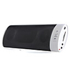 Portable Rechargeable USB/SD Memory Card Speaker (White)