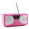 Portable USB FM Radio TF Card Reader Speaker