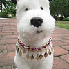 Primitive Tribes Design Necklace for Dogs (S-L,  Assorted Colors)