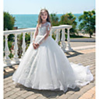 Princess / Ball Gown Court Train Wedding / Party Flower Girl Dresses - Lace Long Sleeve Jewel Neck with Lace / Pleats / Appliques