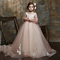 Princess / Ball Gown Sweep / Brush Train Wedding / Party Flower Girl Dresses - Lace / Organza Long Sleeve Illusion Neck with Bow(s) / Appliques