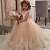 Princess / Ball Gown Sweep / Brush Train Wedding / Party Flower Girl Dresses - Lace / Tulle Long Sleeve V Neck with Pleats / Appliques