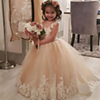 Princess / Ball Gown Sweep / Brush Train Wedding / Party Flower Girl Dresses - Lace / Tulle Long Sleeve V Neck with Pleats / Appliques