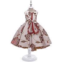 Princess Asymmetrical Event / Party / Birthday Flower Girl Dresses - Satin Sleeveless V Neck with Bow(s) / Pleats / Beading