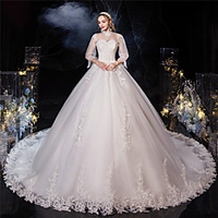 Princess Ball Gown Wedding Dresses High Neck Watteau Train Lace Tulle Half Sleeve Formal Romantic Luxurious with Pleats Appliques 2020