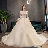Princess Ball Gown Wedding Dresses V Neck Chapel Train Lace Tulle Half Sleeve Formal Luxurious with Tassel Appliques 2020