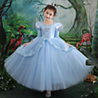 Princess Cinderella Dress Masquerade Flower Girl Dress Girls