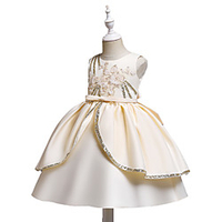 Princess Cosplay Costume Costume Girls