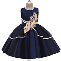 Princess Cosplay Costume Costume Girls
