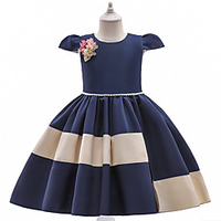 Princess Cosplay Costume Costume Girls
