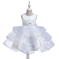 Princess Cosplay Costume Costume Girls