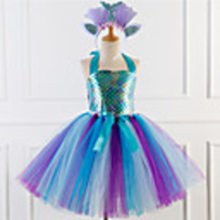 Princess Cosplay Costume Costume Girls