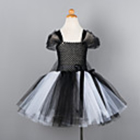 Princess Cosplay Costume Costume Girls