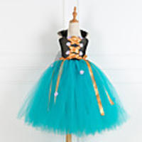 Princess Cosplay Costume Costume Girls
