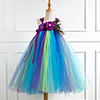 Princess Cosplay Costume Costume Girls