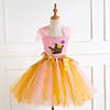 Princess Cosplay Costume Costume Girls