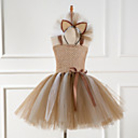 Princess Cosplay Costume Costume Girls