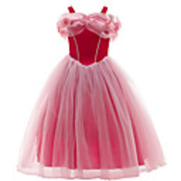 Princess Cosplay Costume Girls