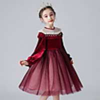 Princess Cosplay Costume Masquerade Girls
