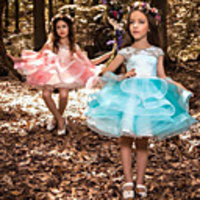 Princess Dress Flower Girl Dress Girls