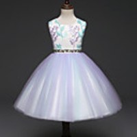 Princess Dress Flower Girl Dress Girls