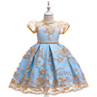 Princess Dress Girls
