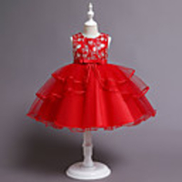 Princess Dress Girls