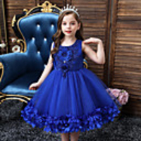Princess Dress Girls