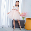 Princess Dress Party Costume Flower Girl Dress Girls