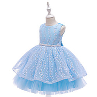 Princess Dress Party Costume Flower Girl Dress Girls