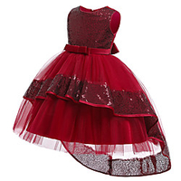 Princess Dress Party Costume Flower Girl Dress Girls