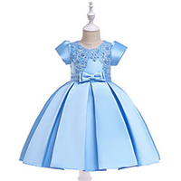Princess Dress Party Costume Flower Girl Dress Girls