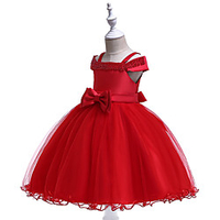 Princess Dress Party Costume Flower Girl Dress Girls