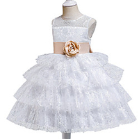 Princess Dress Party Costume Flower Girl Dress Girls