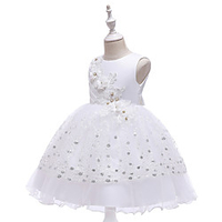 Princess Dress Party Costume Flower Girl Dress Girls