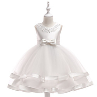 Princess Dress Party Costume Flower Girl Dress Girls