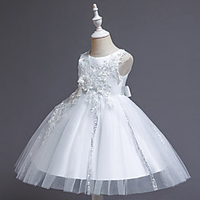 Princess Dress Party Costume Flower Girl Dress Girls