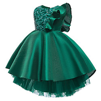 Princess Dress Party Costume Flower Girl Dress Girls