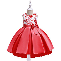 Princess Dress Party Costume Flower Girl Dress Girls